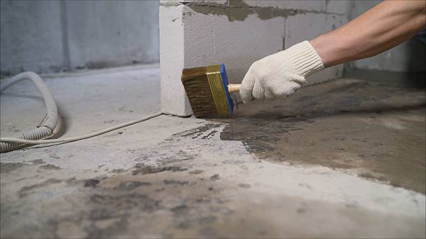 SJ Waterproofing Pros Emergency Waterproofing coverage map for Lowell, MI and surrounding area